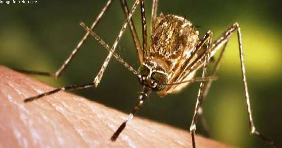 Japanese Encephalitis claims 3 more lives in Assam, death toll reaches 35
